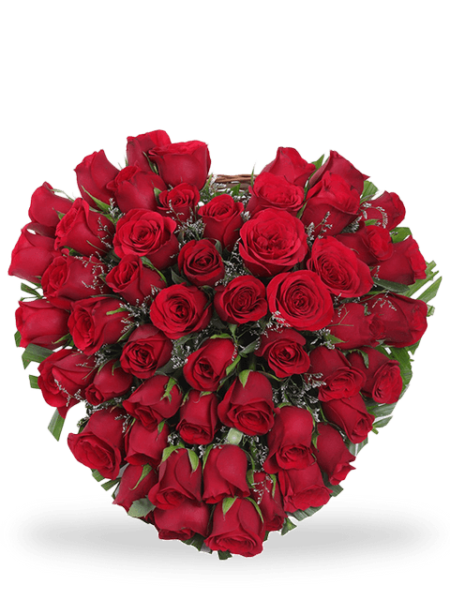 Cuore di 50 rose rosse