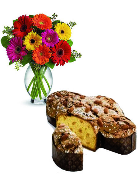 colomba con gerbere colorate