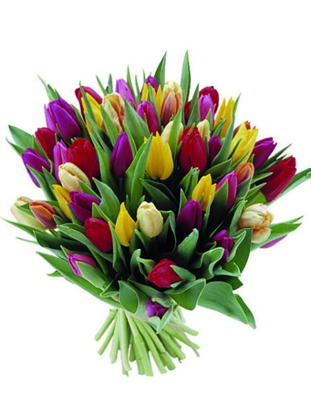 Bouquet di tuliani