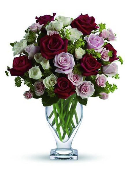 Rose rosa bianche e rosse