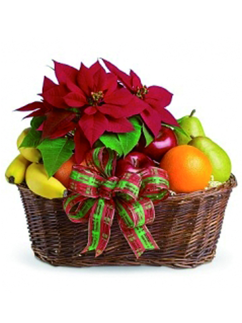 cesto-di-frutta-con-stella-di-natale-rossa cesto di frutta con stella di natale
